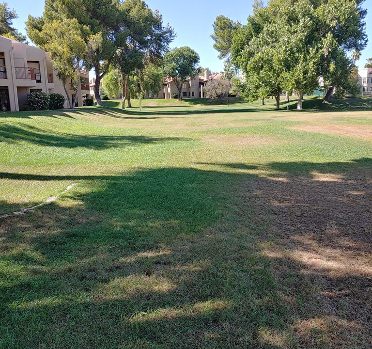 Photo of Outdoor in Village Three