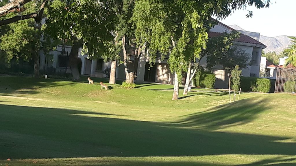 Photo of Others in Village Three