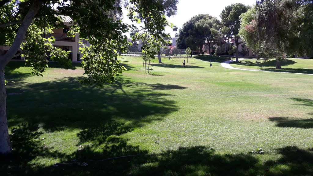 Photo of Others in Village Three