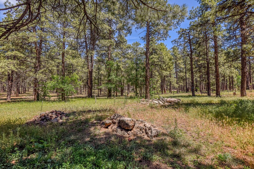 Photo of Outdoor in Parks