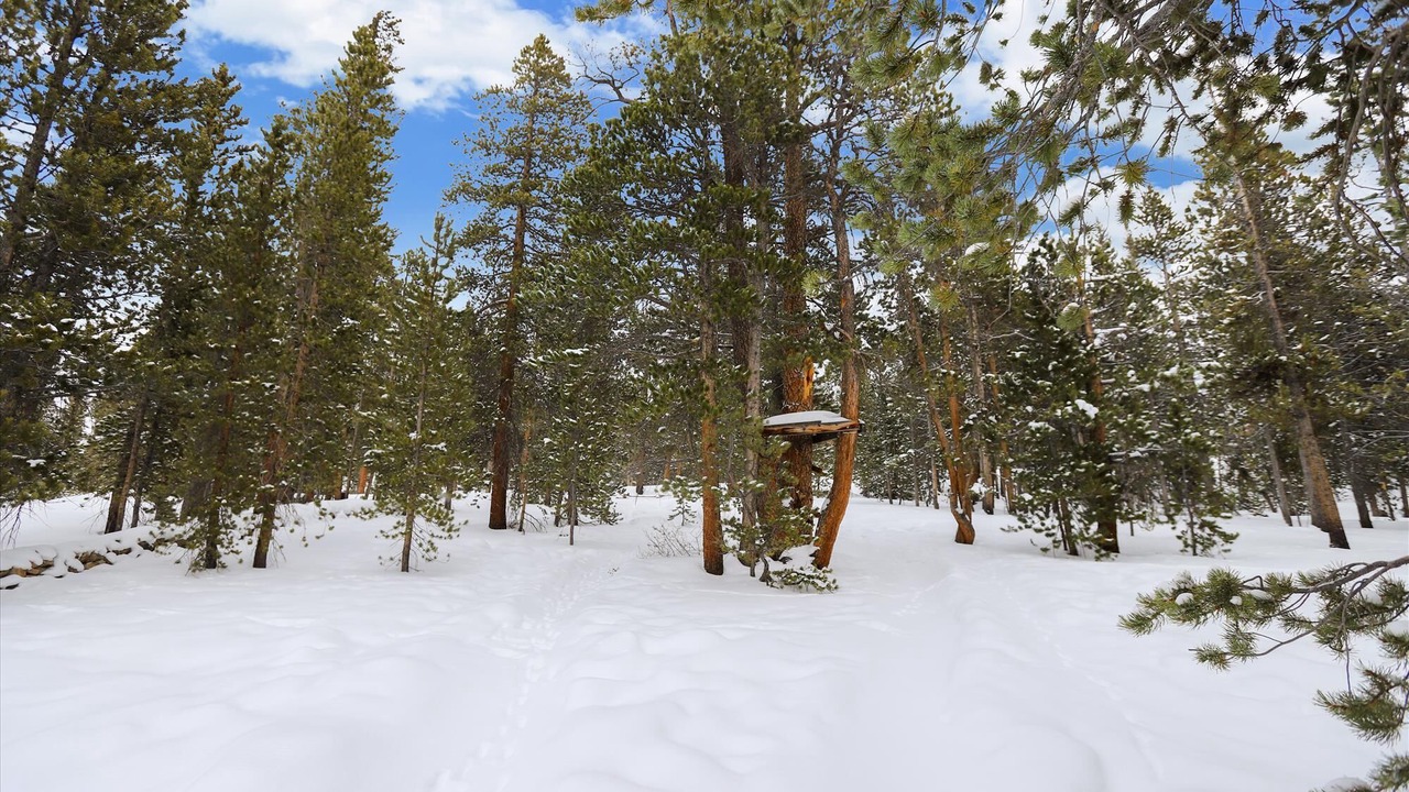 Photo of Outdoor in Woodmoor