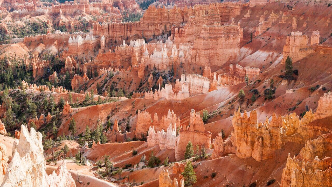Photo of Outdoor in St. George