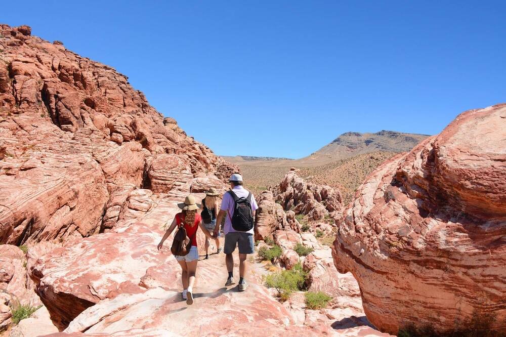Photo of Others in Pima Meadows