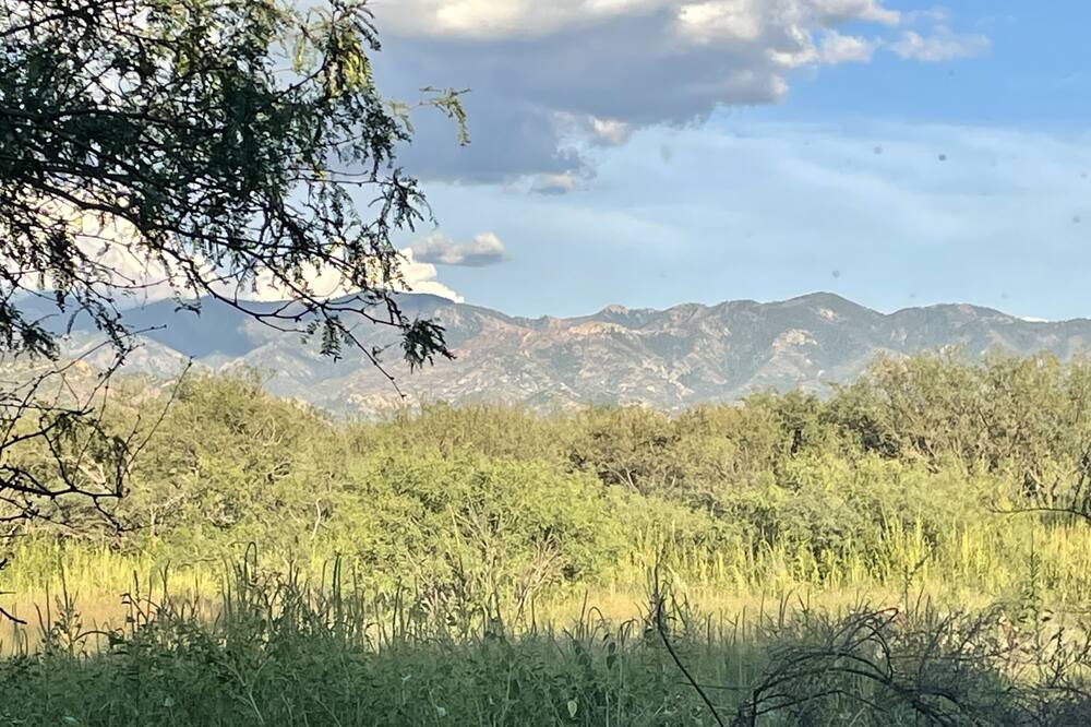 Photo of Outdoor in Pearce