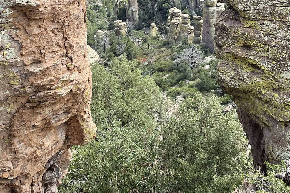 Photo of Outdoor in Pearce