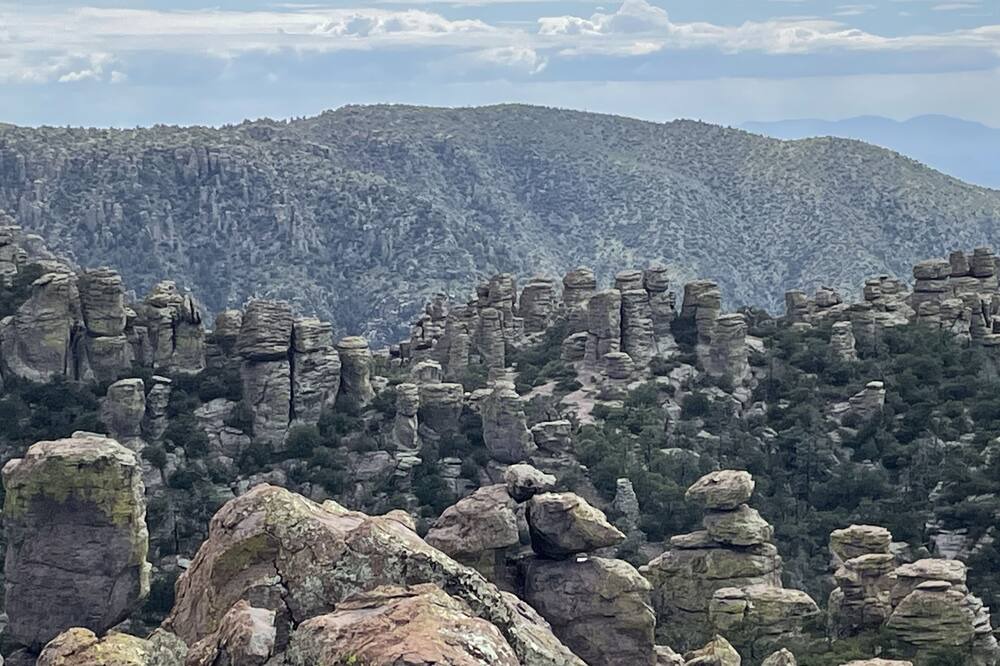Photo of Outdoor in Pearce
