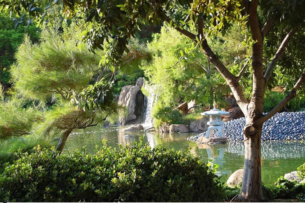 Photo of Outdoor in Kyrene-Superstition