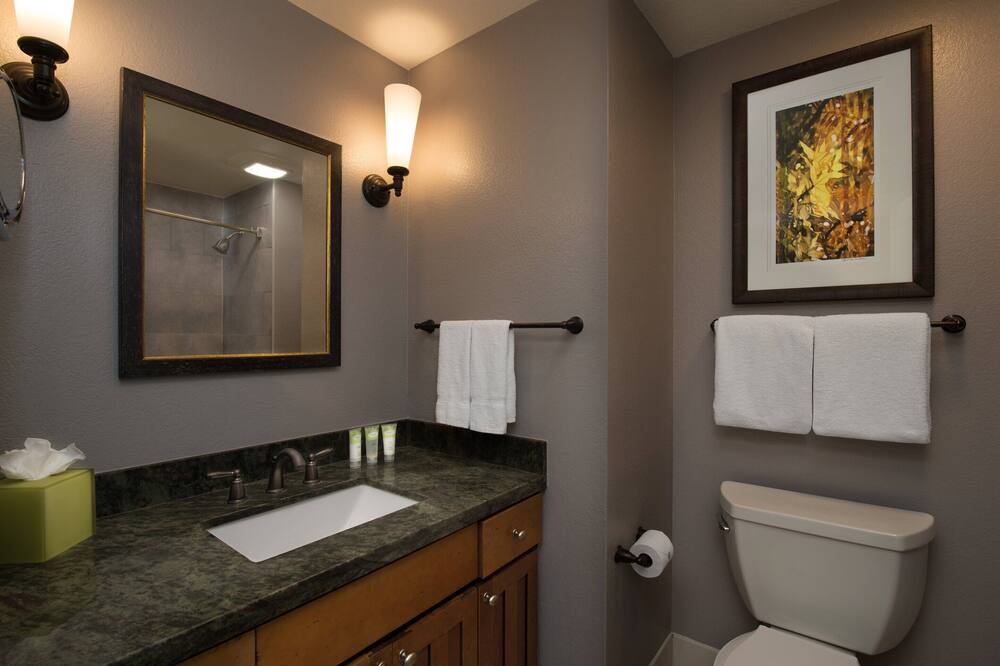Photo of Bathroom in North Park City