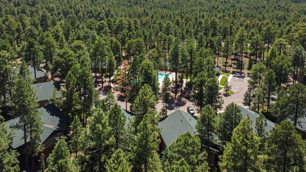 Photo of Outdoor in Pinetop