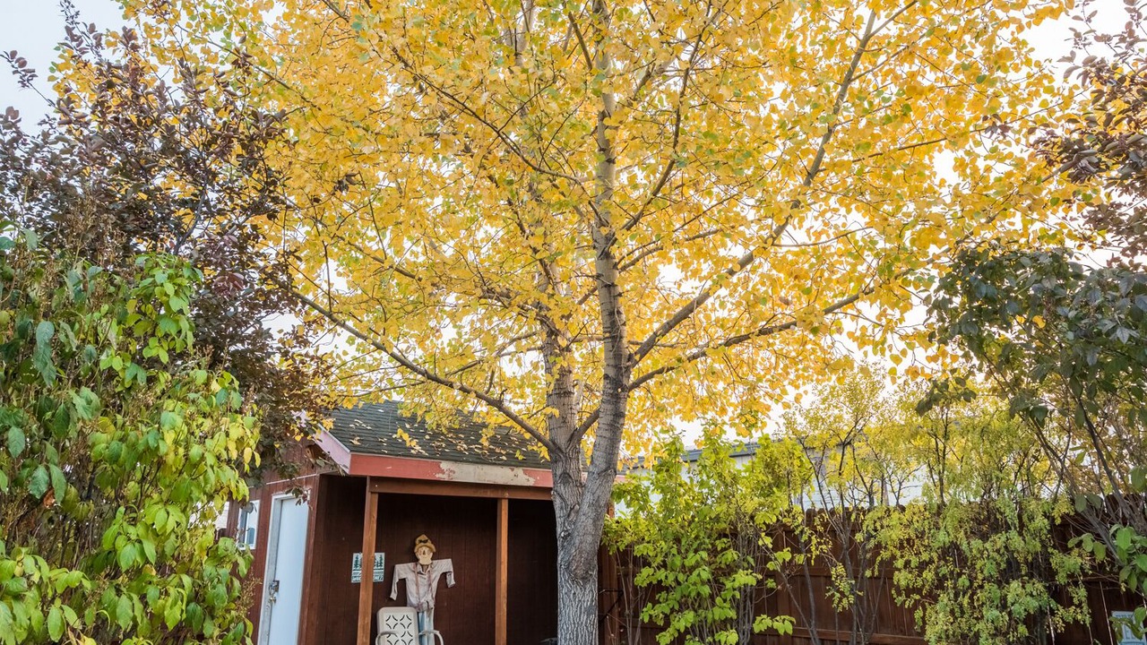 Photo of Outdoor in Pinedale