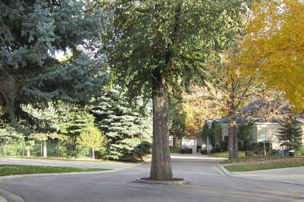 Photo of Others in Murray