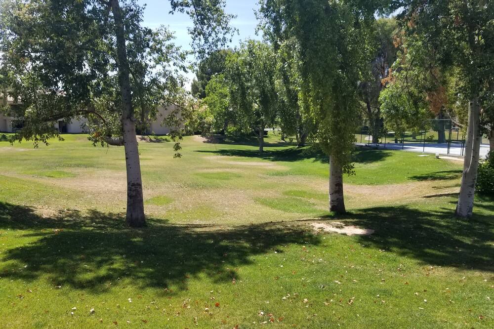 Photo of Outdoor in Village Three