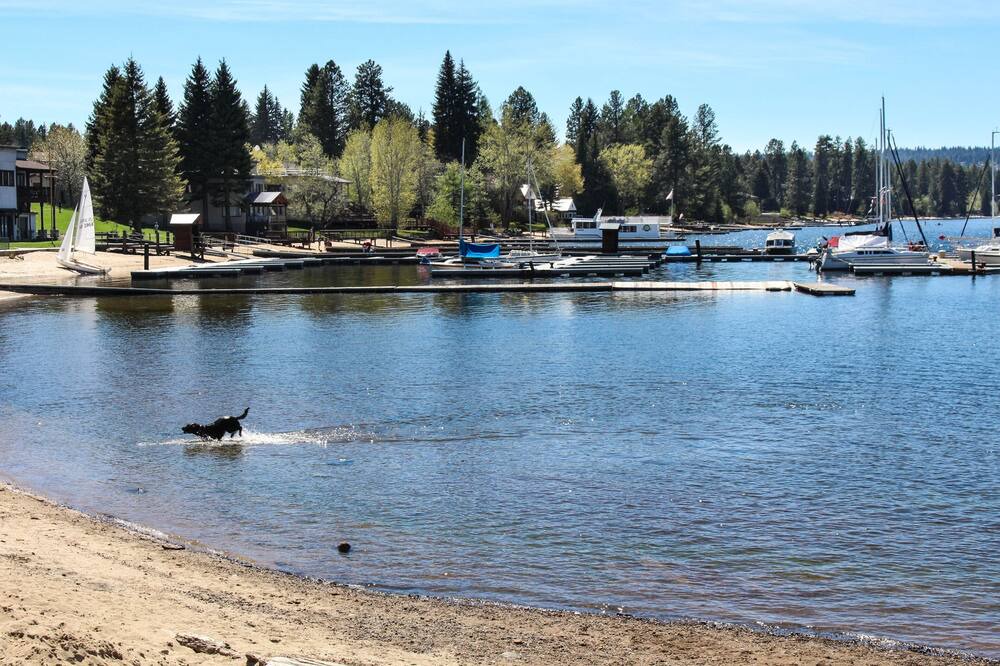 Photo of Others in McCall