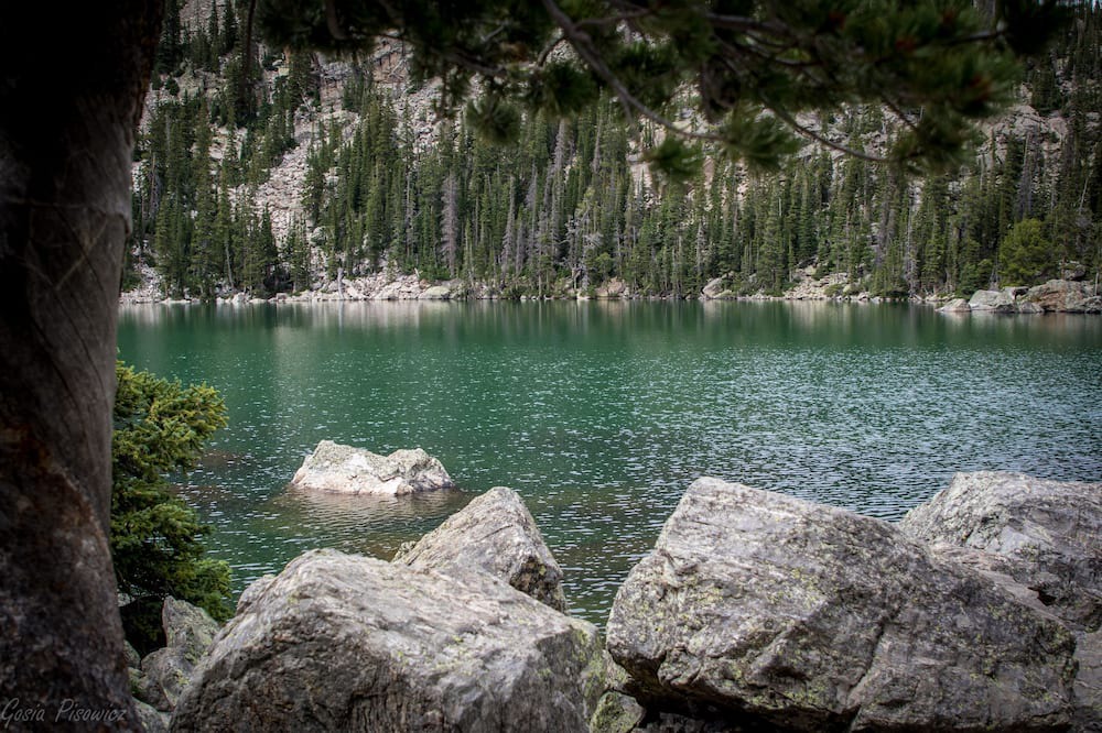 Photo of Others in Estes Park