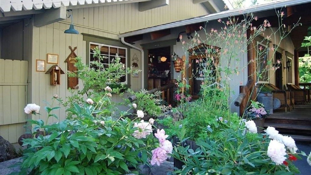 Photo of Outdoor in Fish Camp
