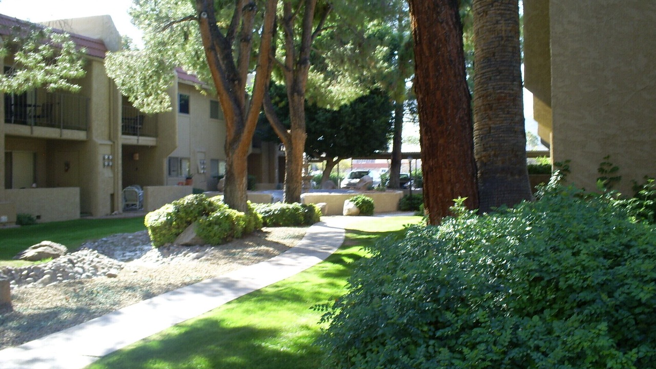 Photo of Outdoor in Winfield Place