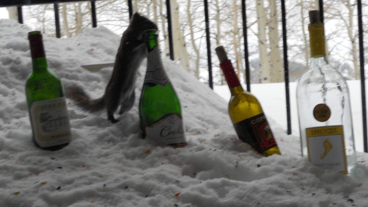Photo of Others in Powder Mountain