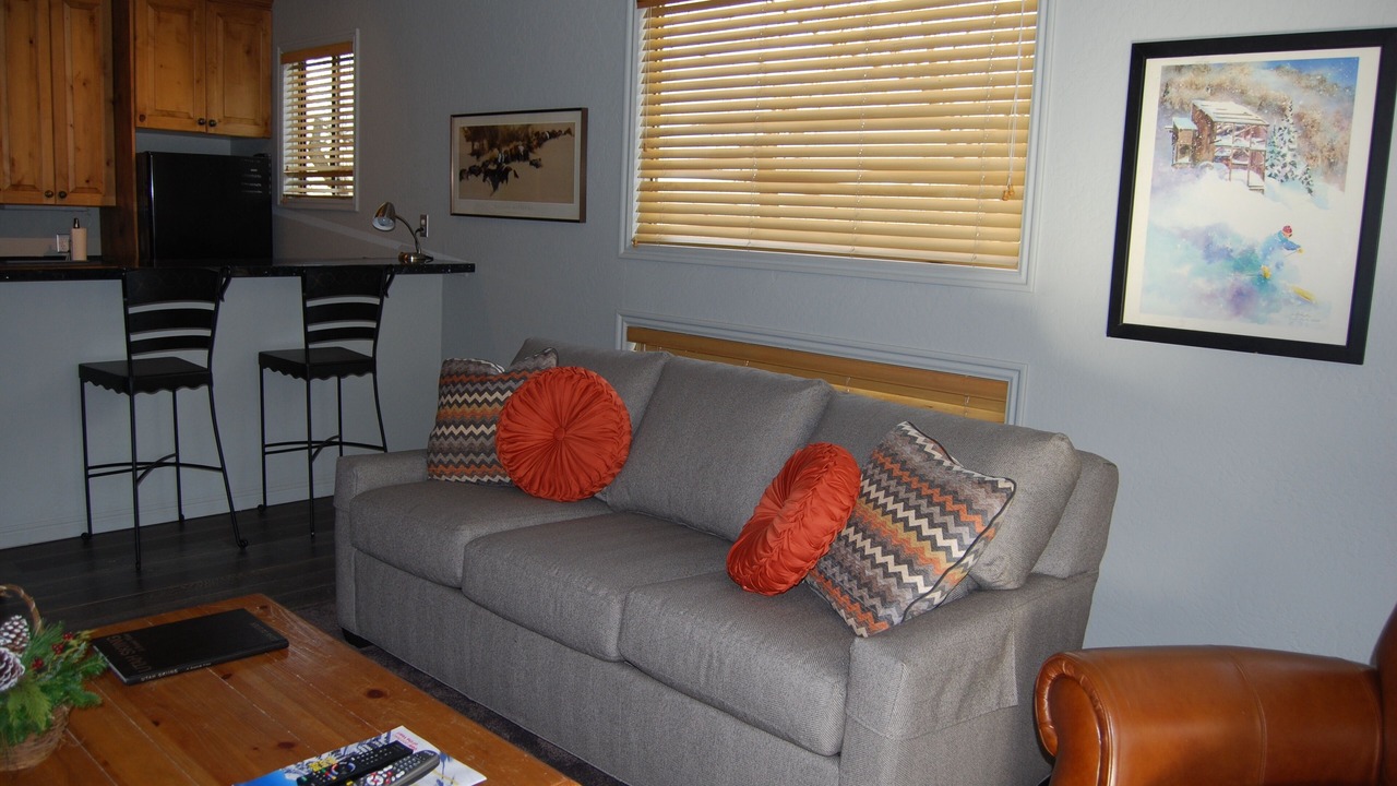 Photo of Livingroom in North Park City