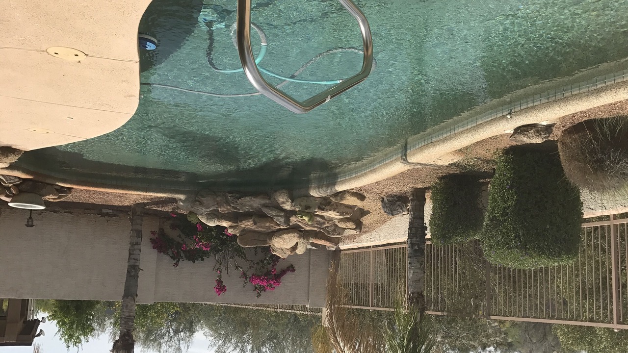 Photo of Outdoor in Estrella Mountain Ranch