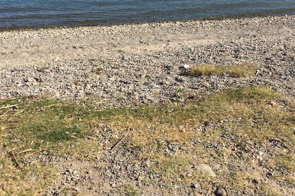 Photo of Outdoor in Havasu Lake