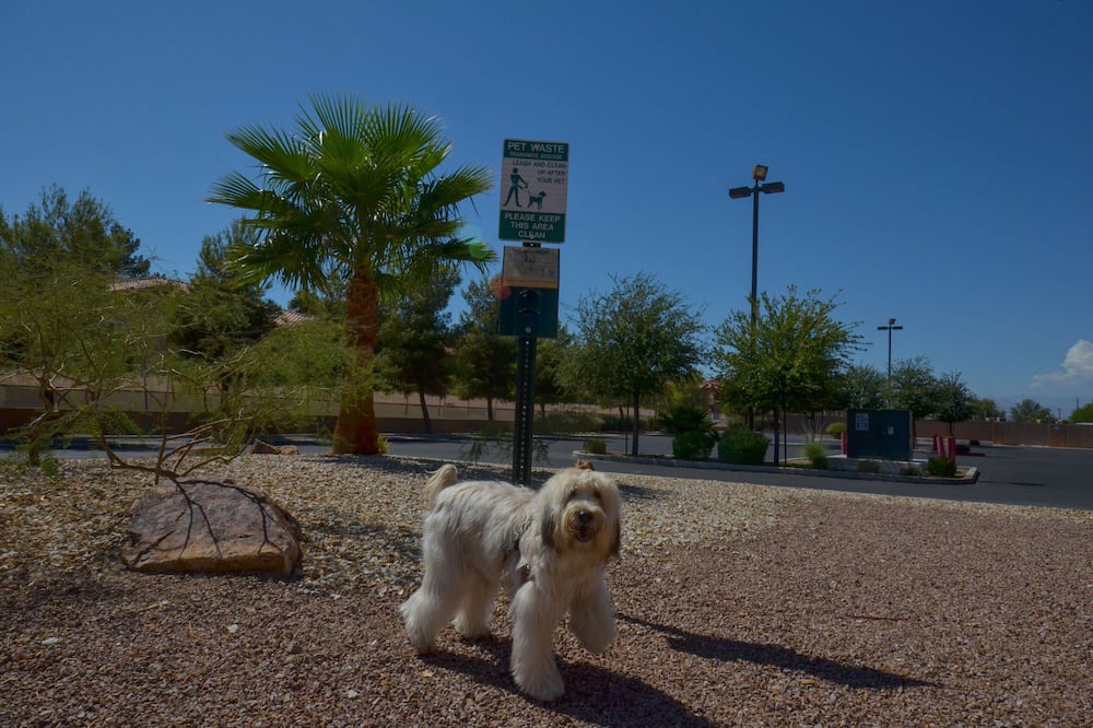 Photo of Outdoor in Sunrise Manor