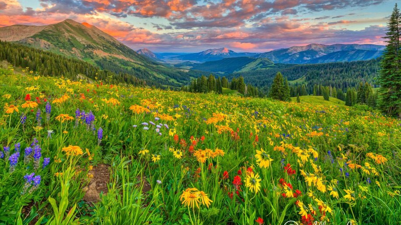 Photo of Outdoor in Gunnison