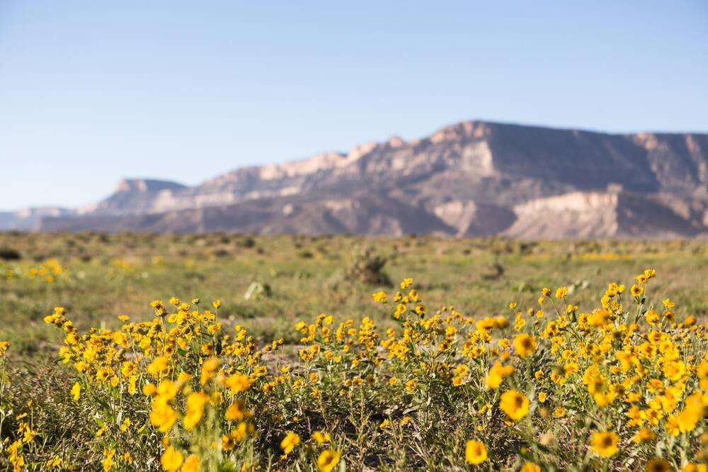 Photo of Outdoor in Kayenta