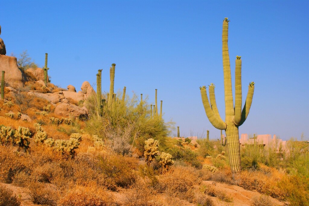 Photo of Outdoor in Scottsdale Links