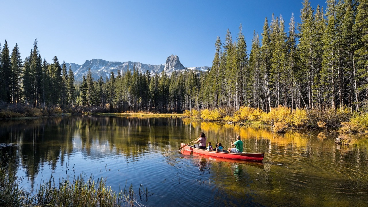 Photo of Others in Majestic Pines