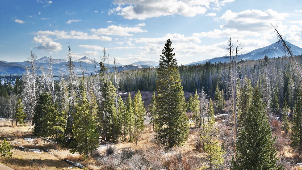 Photo of Outdoor in Wildernest