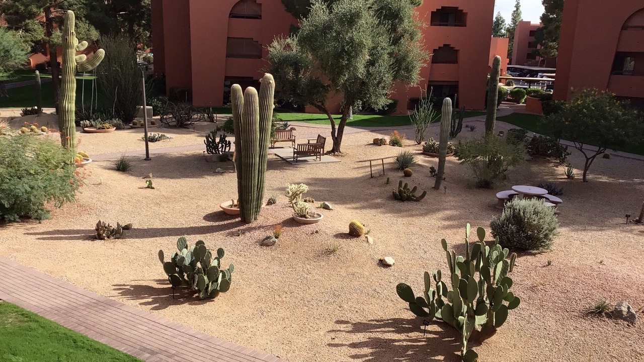 Photo of Outdoor in Paradise Valley Village