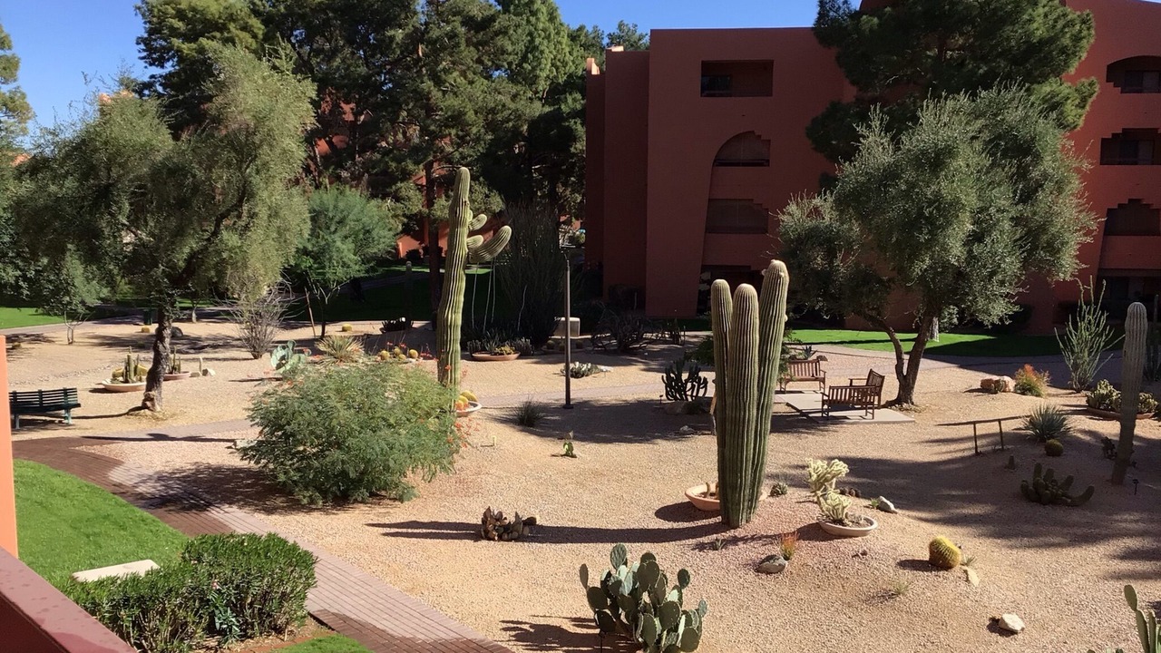 Photo of Outdoor in Paradise Valley Village
