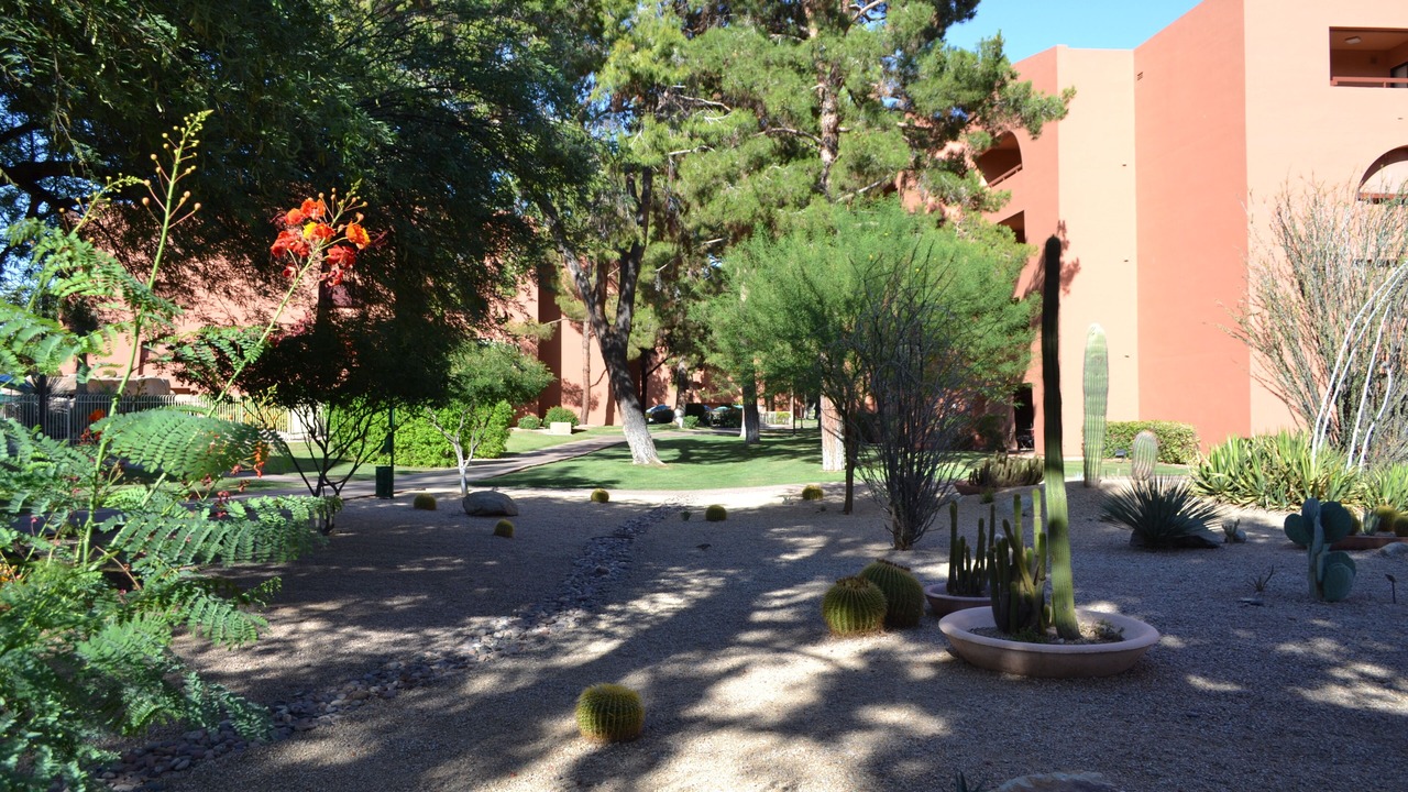 Photo of Outdoor in Paradise Valley Village