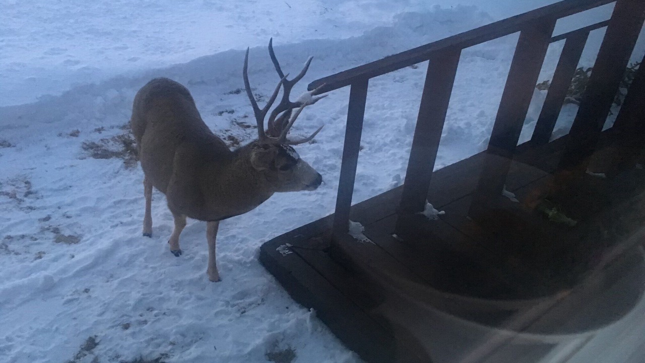 Photo of Outdoor in Pinedale