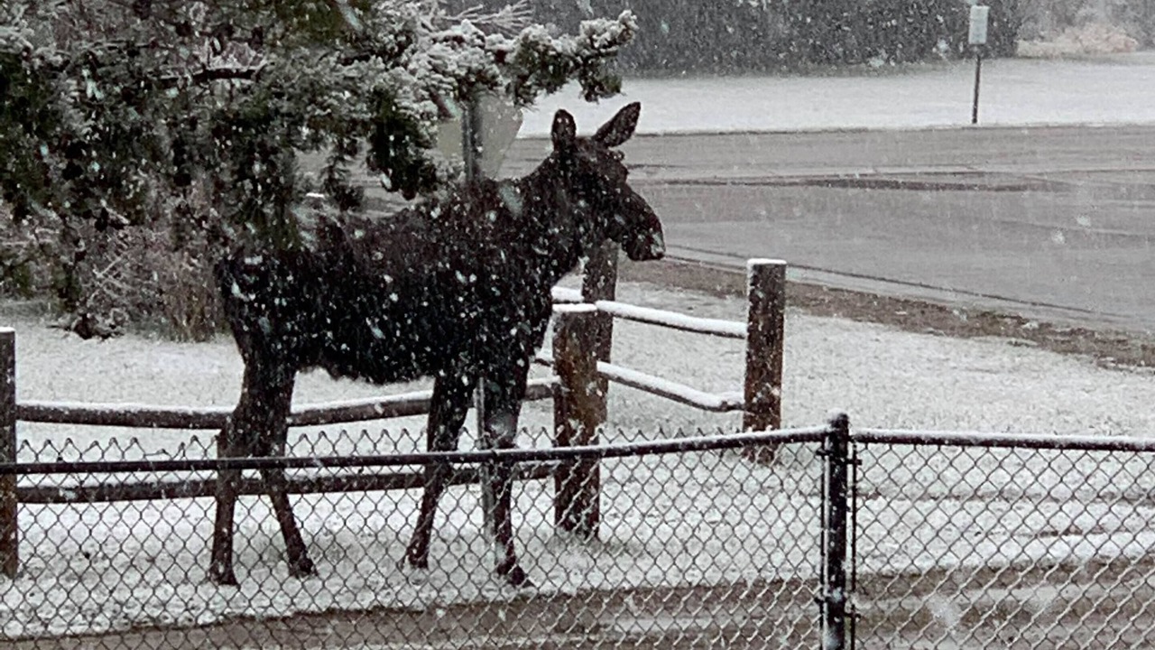 Photo of Outdoor in Pinedale