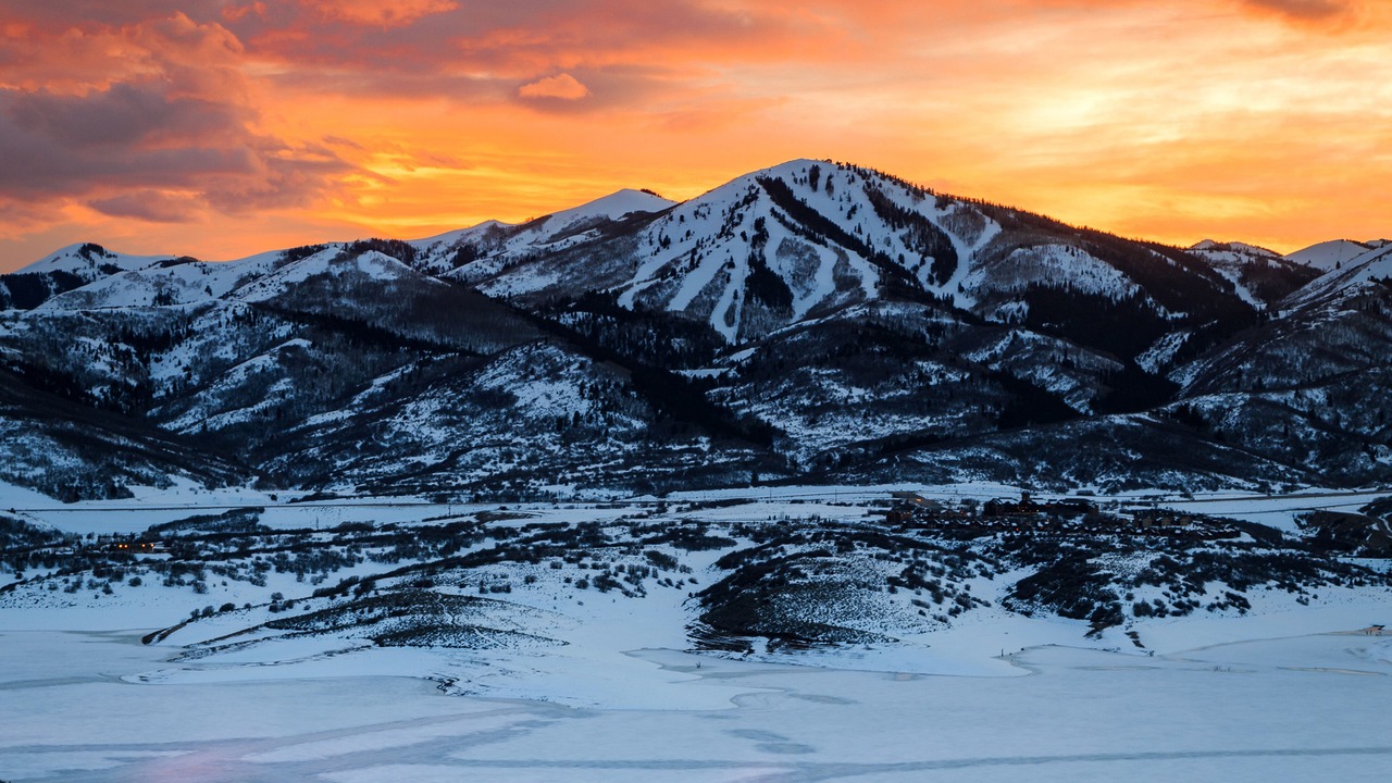 Photo of Others in North Park City