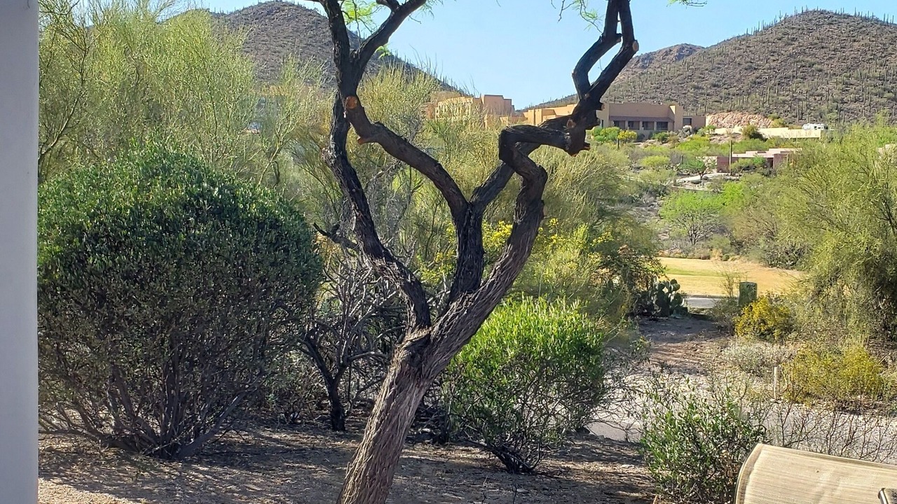 Photo of Outdoor in Starr Pass