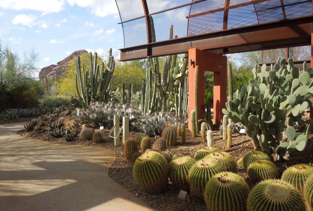 Photo of Outdoor in South Scottsdale