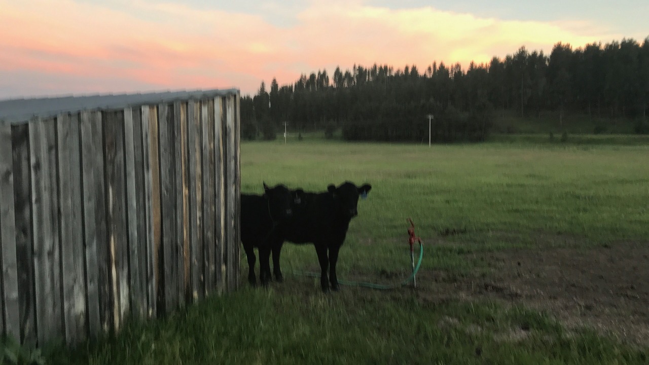 Photo of Outdoor in Rapid City