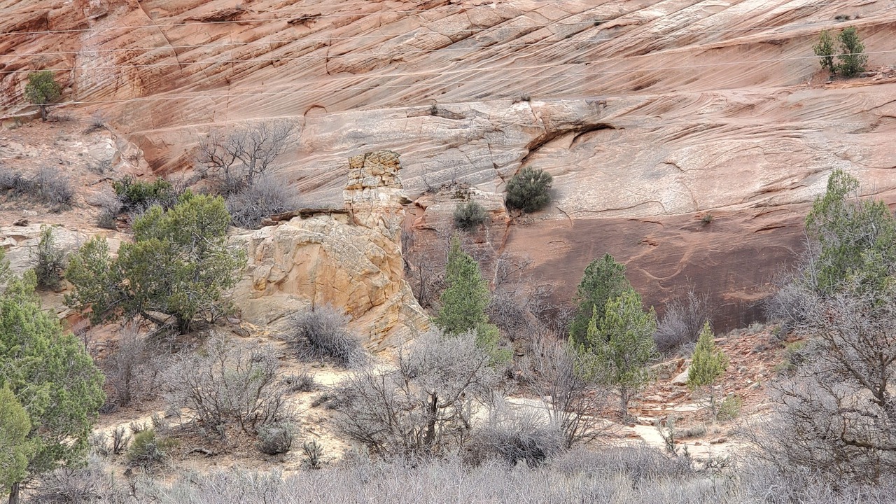 Photo of Outdoor in Glendale