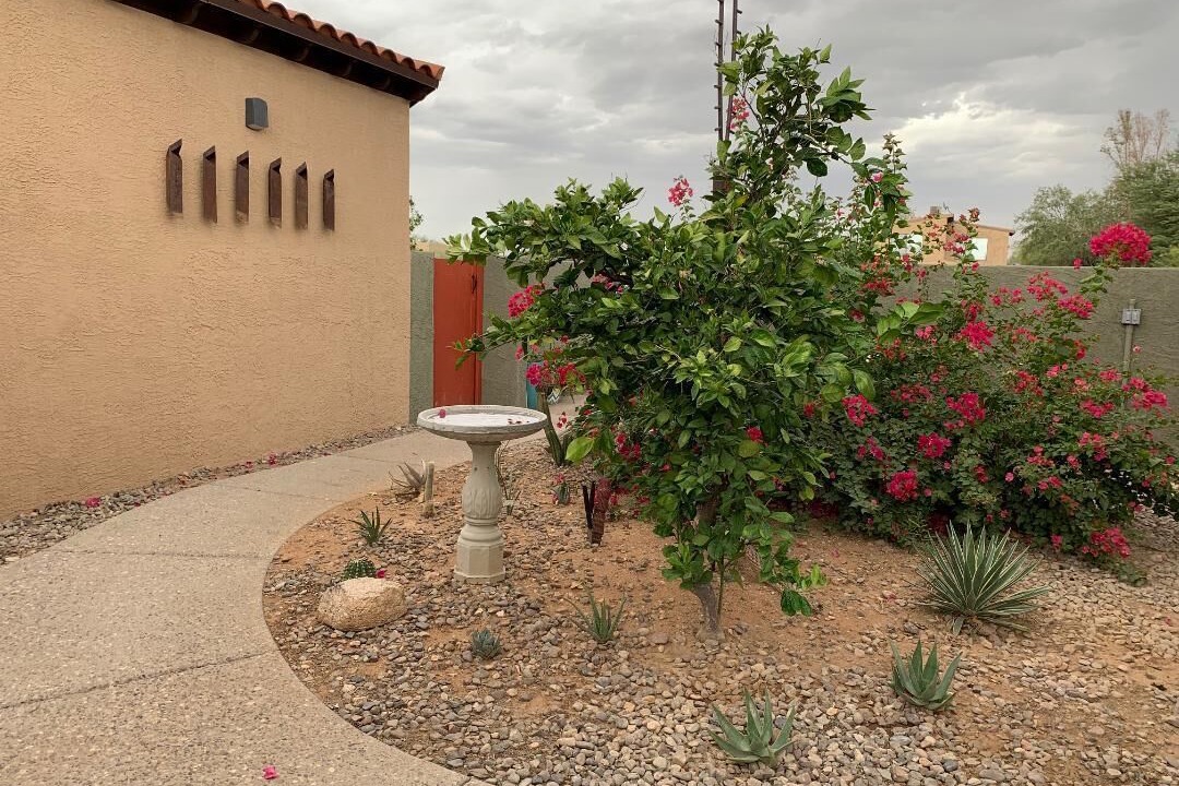 Photo of Others in Limberlost