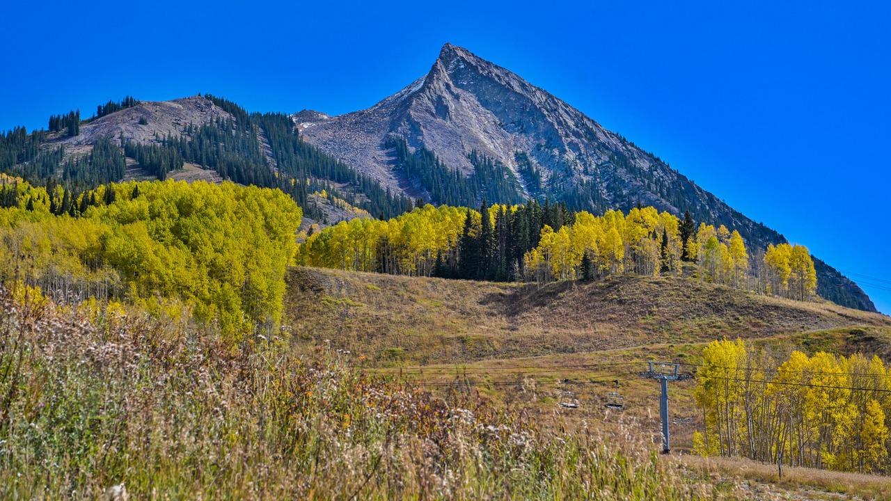 Photo of Others in Mount Crested Butte