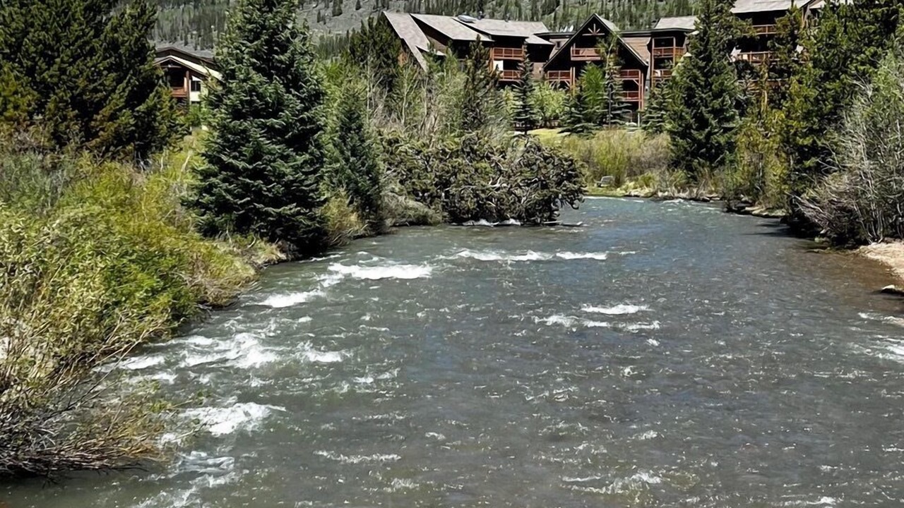 Photo of Others in Mountain House