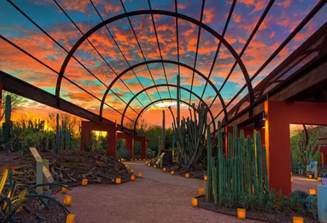 Photo of Others in Camelback East