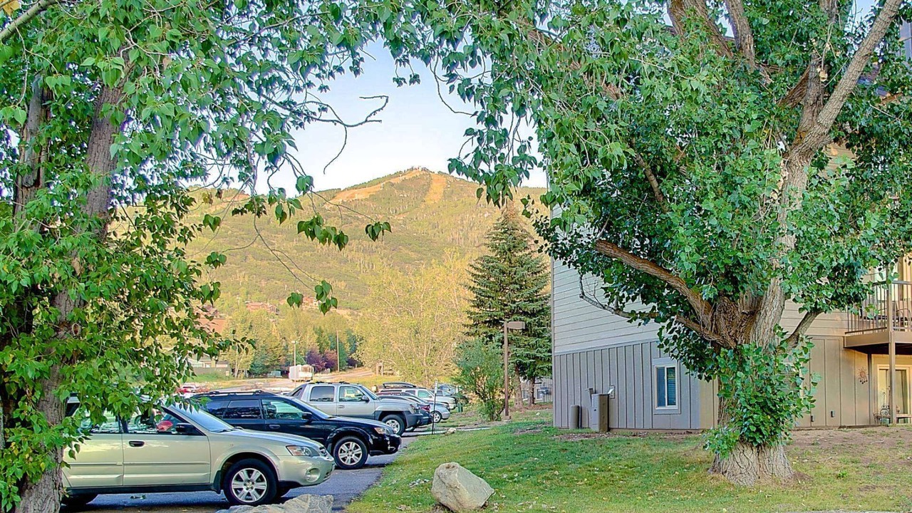 Photo of Others in Steamboat Springs