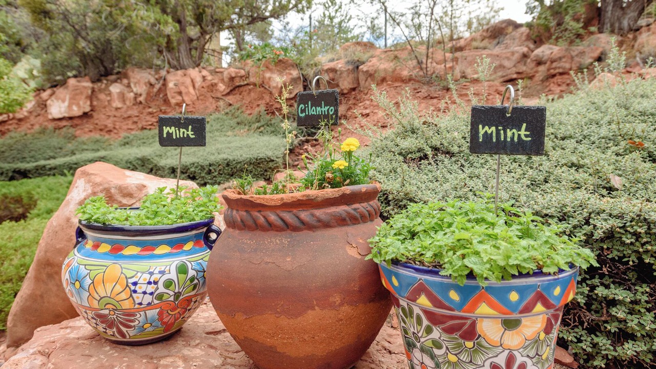 Photo of Outdoor in West Sedona