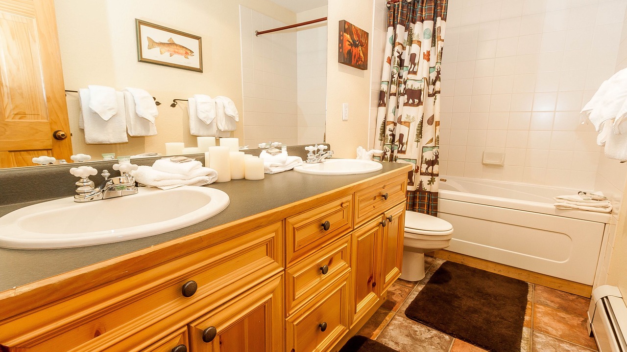 Photo of Bathroom in Mountain House