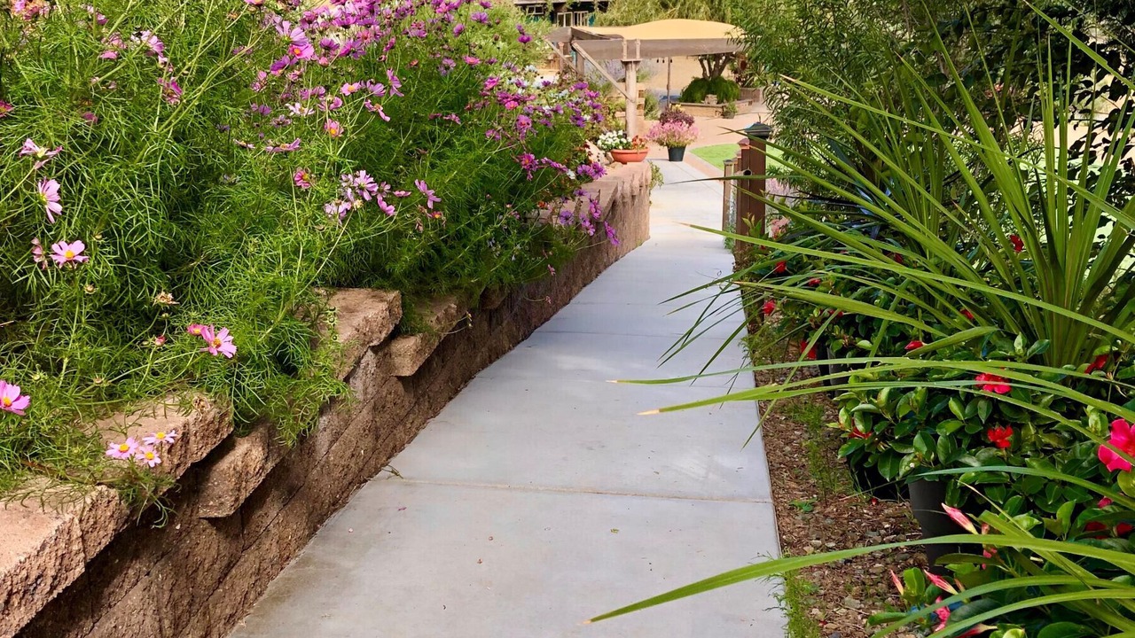 Photo of Outdoor in Prescott