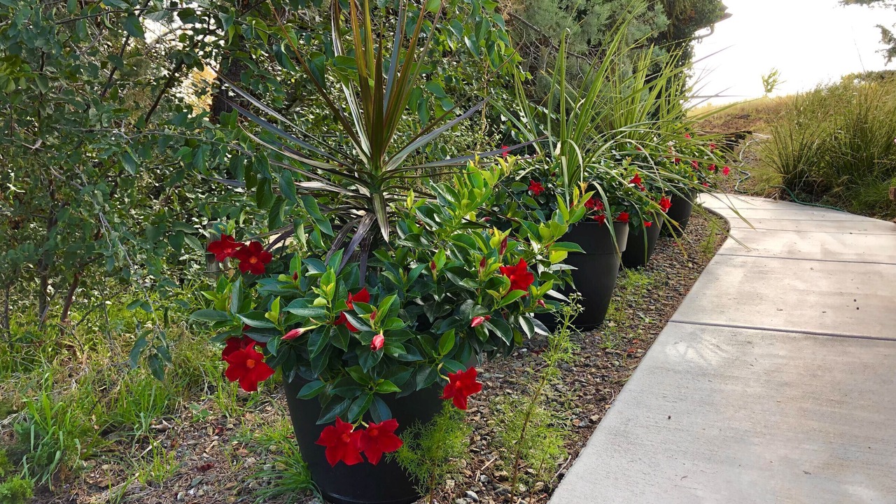Photo of Outdoor in Prescott