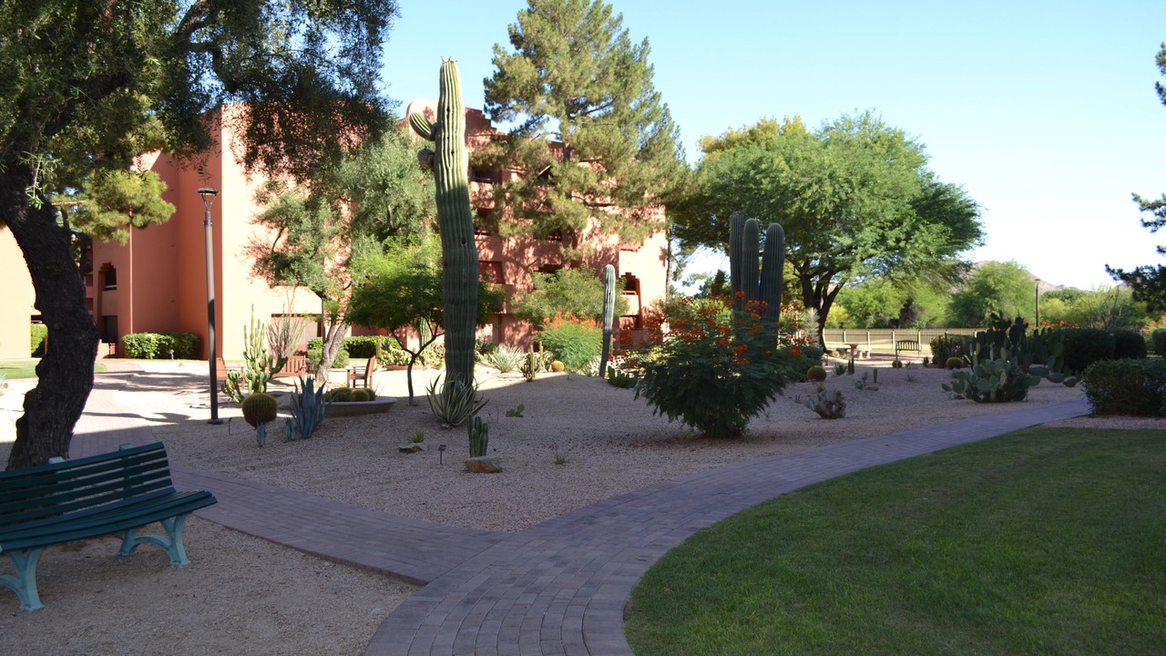 Photo of Outdoor in Paradise Valley Village